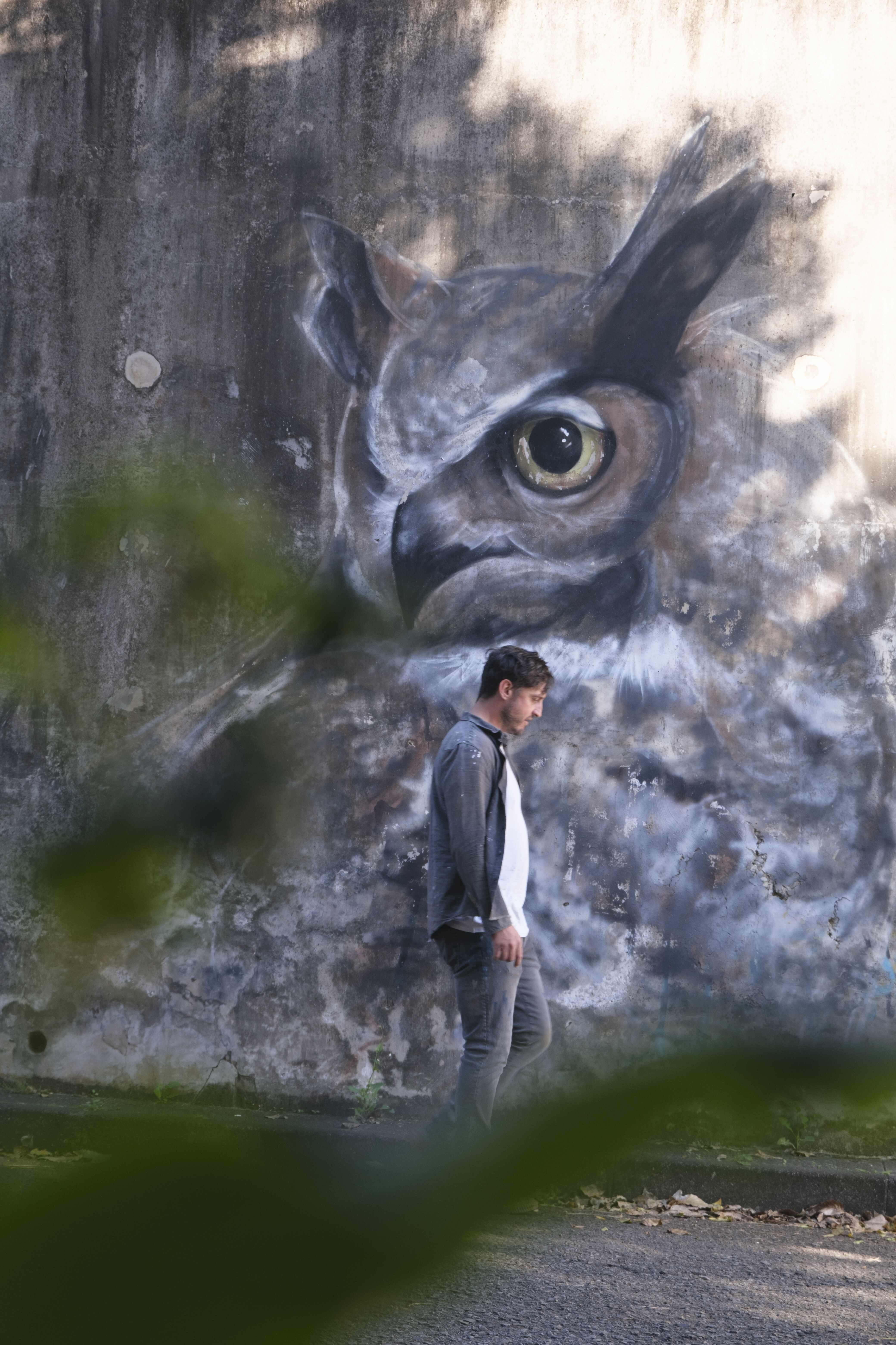 Owl Portrait Mural